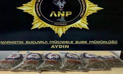 Aydın'daki uyuşturucu operasyonunda 2 kişi tutuklandı!