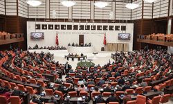 Afyon'daki bu köyün tapu sorunu TBMM gündemine taşınıyor