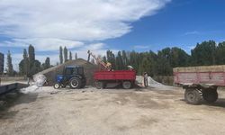 Afyon’da ayçiçeği alımları başladı