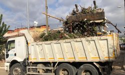 Aydın'da herkesi şok eden olay: Bir evden tam 16 kamyon çöp çıktı!