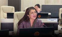 CHP'li İsmihan Nergiz: Seçen ve seçilen tüm kadınların günü kutlu olsun