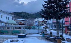 İzmir Bozdağ Mahallesi'ne yılın ilk karı yağdı