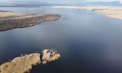 Eber Gölü'ndeki su seviyesi yüzde 15 arttı