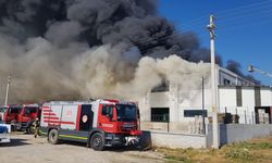 İzmir'de narenciye deposunda çıkan yangın kontrol altına alındı