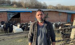 Geçimini hayvancılıkla sağlıyordu: Afyon'da keçilerini çalanları jandarma yakaladı