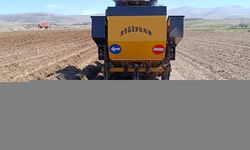 Afyon'da patates ekimi başladı: 40 bin dekar alana ekim yapılacak!