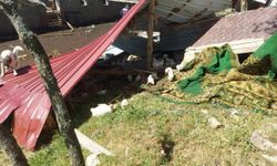 Uşak'ta fırtına nedeniyle bazı ev ve ahırların çatısı uçtu