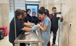 Afyon'daki hayvan hastanesi 7/24 kesintisiz hizmet sunuyor