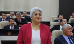 Afyon’da 51 üyeli İl Genel Meclisi’nde tek kadın var!