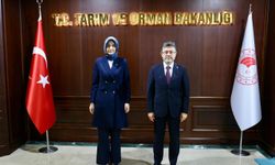 Ankara'da önemli ziyaret: Vali Yiğitbaşı, Tarım ve Orman Bakanı'nı ziyaret etti