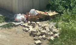 Afyon’da Çöp ve Fare Sorunu: Vatandaşlar Önlem Bekliyor