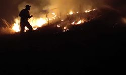 Afyon'da çıkan arazi yangını ormanlık alana sıçramadan söndürüldü
