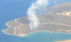 İzmir'in Urla ilçesinde makilik alanda yangın çıktı