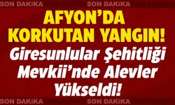 Afyonkarahisar Doğanlar Köyü'nde Yangın: Giresunlular Şehitliği Mevkii’nde Alevler Yükseldi