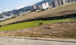 Afyon’da Dörtyol Mahallesi’nden Akarçay için yosun ve sinek tepkisi!
