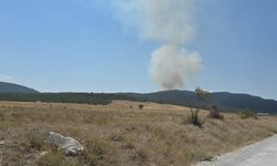 Afyon’da Yine Orman Yangını: Dumanlar Gökyüzünü Kapladı