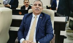 İGM üyesi Faruk Kökcür: “30 bin nüfuslu Çay’a Hükümet Konağı ne zaman yapılacak?”