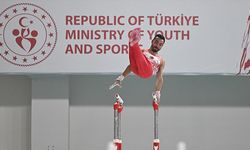 Ferhat Arıcan, Artistik Cimnastik Dünya Kupası'nın Türkiye ayağında altın madalyayı hak etti
