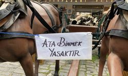 At heykellerine ata binmek yasaktır uyarısı astılar