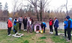 Hisarcık’ta sokak hayvanları için mama bırakıldı