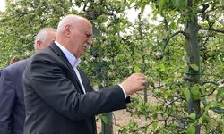 TZOB Genel Başkanı Şemsi Bayraktar: "3 gün süren don olayı üreticimizi perişan etti"