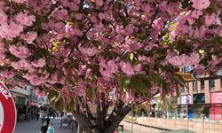 Eskişehir’de Porsuk Çayı Kenarında Bahar, Martenitsa İle Karşılandı