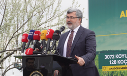 AK Partili Ali Özkaya: “Dünyada en verimli et koyun eti”