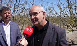Ergün Çini yazdı: Sultandağı, Çay ve Akşehir Havzası Yalnız mı Bırakıldı?