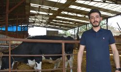 Afyonlu genç çiftçi arazide yapay zeka kullanmaya başladı: Hedef ekilebilir arazi miktarını artırmak