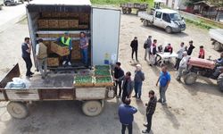 Afyon'da 2 Milyon TL'lik Domates Projesi