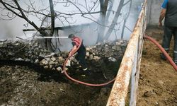 Domaniç'te meydana gelen yangında 100 tavuk hayatını yitirdi