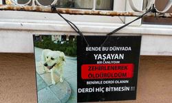 Farkındalık oluşturmak için not astı