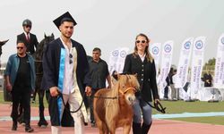 Mezuniyet takkesi giyen şirin at, 4 bin 500 öğrenciyle aynı anda diploma aldı
