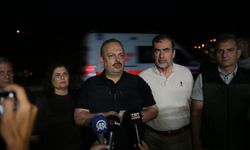 Aydın Efeler’de Orman Yangını Kontrol Altına Alındı: 320 Hektar Zarar Gördü