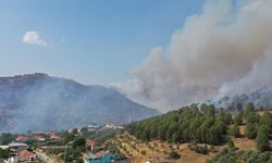 Aydın'da tarım arazisi ve fundalıktaki yangına karşı mücadele sürüyor