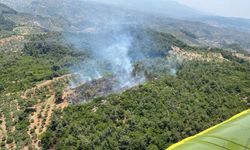 Germencik’te Orman Yangını Kontrol Altına Alındı