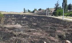 Eskişehir’de Torpil Yangını: 15 Dönüm Otluk Alan Kül Oldu