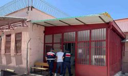 Sivrihisar’da Aranan Şahıs Jandarmaya Yakalandı