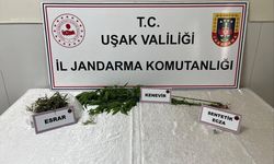 Banaz’da Uyuşturucu Operasyonu: 1 Gözaltı
