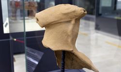 Kepçeye takılmış Hitit dönemine ait boğa başlı testi parçası müzede ziyarete açıldı