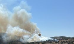 Milas'ta tarım bölgesinde başlayan yangın kontrol altına alındı