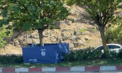 Bilecik'te trafik kazası: 1 kişi hayatını kaybetti, 1 kişi yaralandı