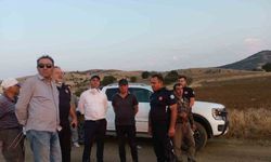 Eskişehir Beylikova’da 2 Bin Dekarlık Alan Küle Döndü: Yangın Kontrol Altına Alındı