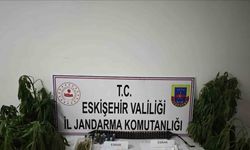 Eskişehir’de Kenevir Operasyonu: Çok Sayıda Narkotik Madde ve Av Tüfeği Ele Geçirildi