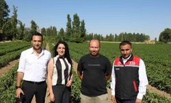 Eskişehir’de Toprak Yeniden Canlanıyor: TKİ-Hümas ile Verim Artışı Sağlandı