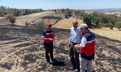 Gediz’deki Orman Yangını Sonrası Hasar Tespiti Yapıldı