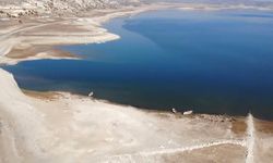 Porsuk Çayı’nda Balık Ölümü İddiası İncelendi