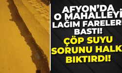 Afyon’da o mahalleyi lağım fareleri bastı, çöp suyu sorunu halkı bıktırdı