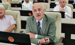 MHP’li Ertürk’ten Arazi Yangınlarıyla İlgili Uyarı: “Cam kırıkları bile yangına neden olabilir”