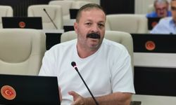 CHP’li İGM Üyesi Çalışkan’dan eşit hizmet talebi: "İyileştirmeler Tüm Barınaklara Uygulanmalı"